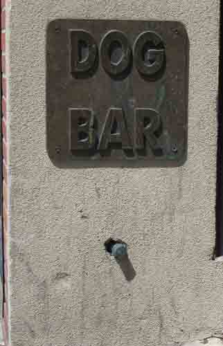 Dog Bar, Mamaroneck Avenue